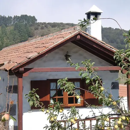 Vakantiehuis La Cuna *